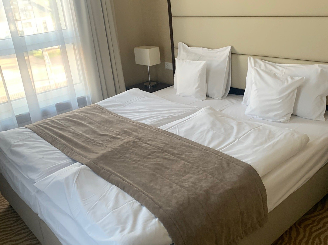 Hotel Mansor主图
