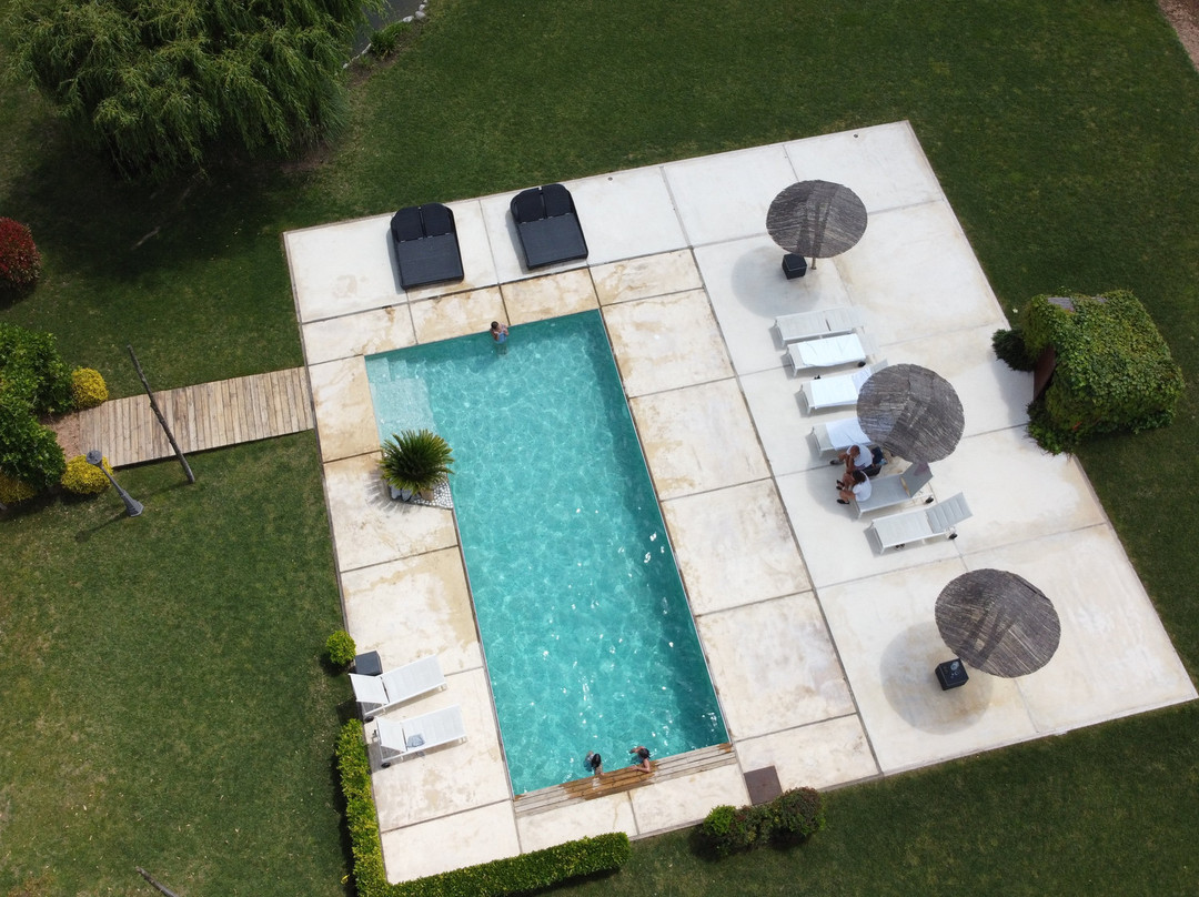 Mas Carreras 1846主图