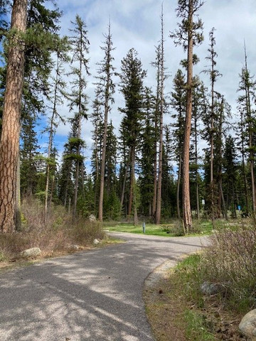 Logan State Park-Libby必去景点