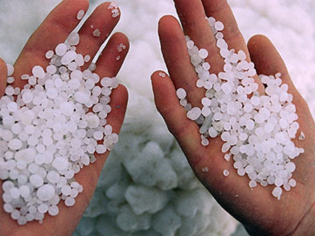 Aloni Neve Zohar Dead Sea主图