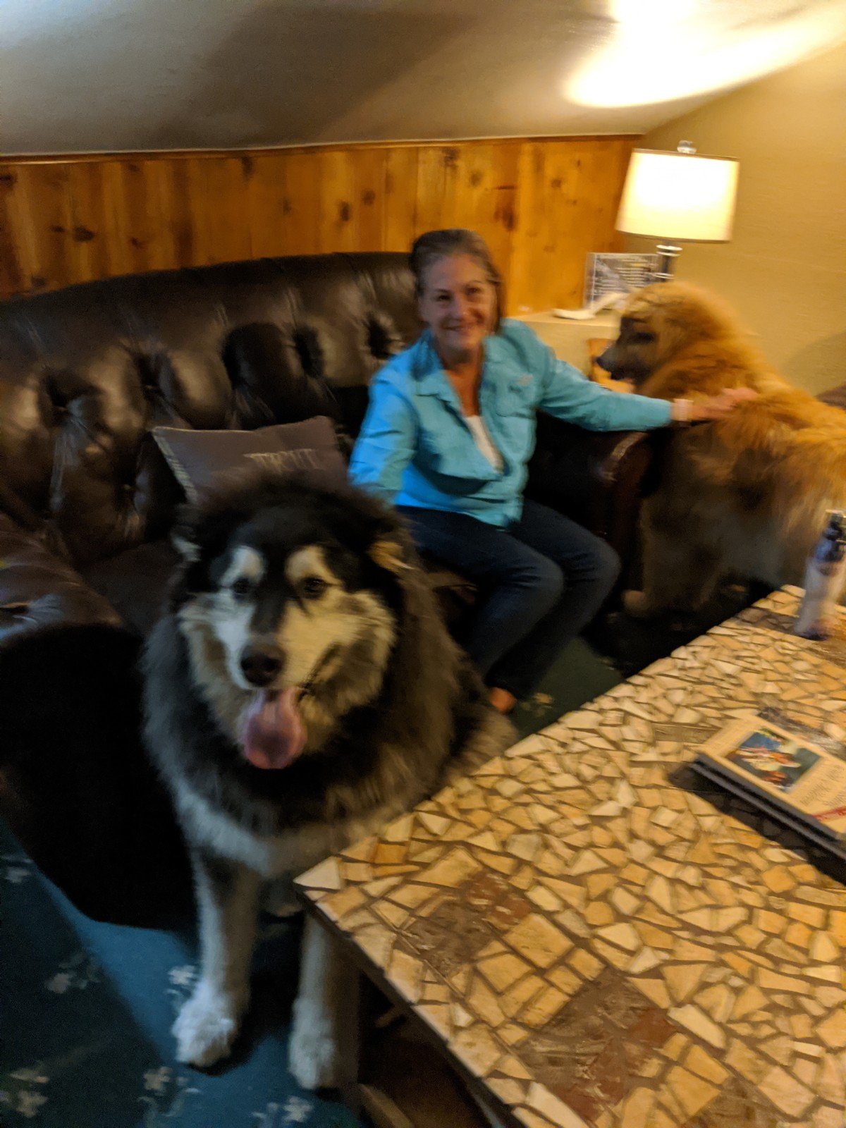 Hannagan Meadow Lodge-portrait
