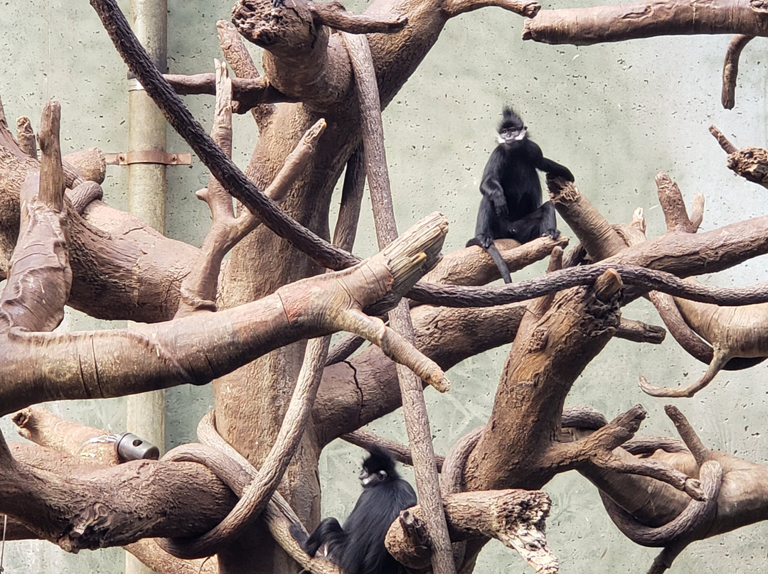 奥马哈亨利多立动物园-奥马哈必去景点