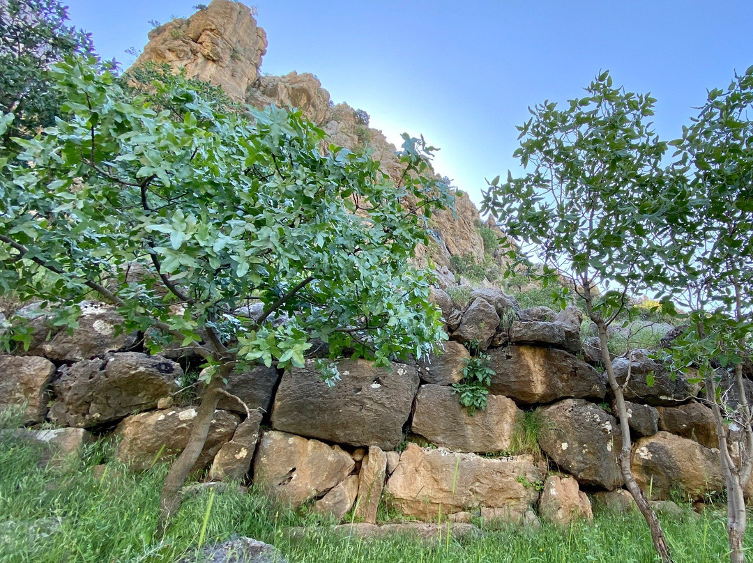 Merquli Rock Relief-苏莱曼尼亚必去景点