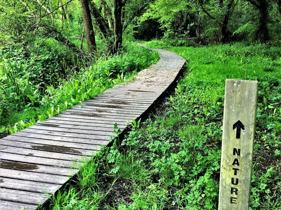 Crane Valley Local Nature Reserve景点图片
