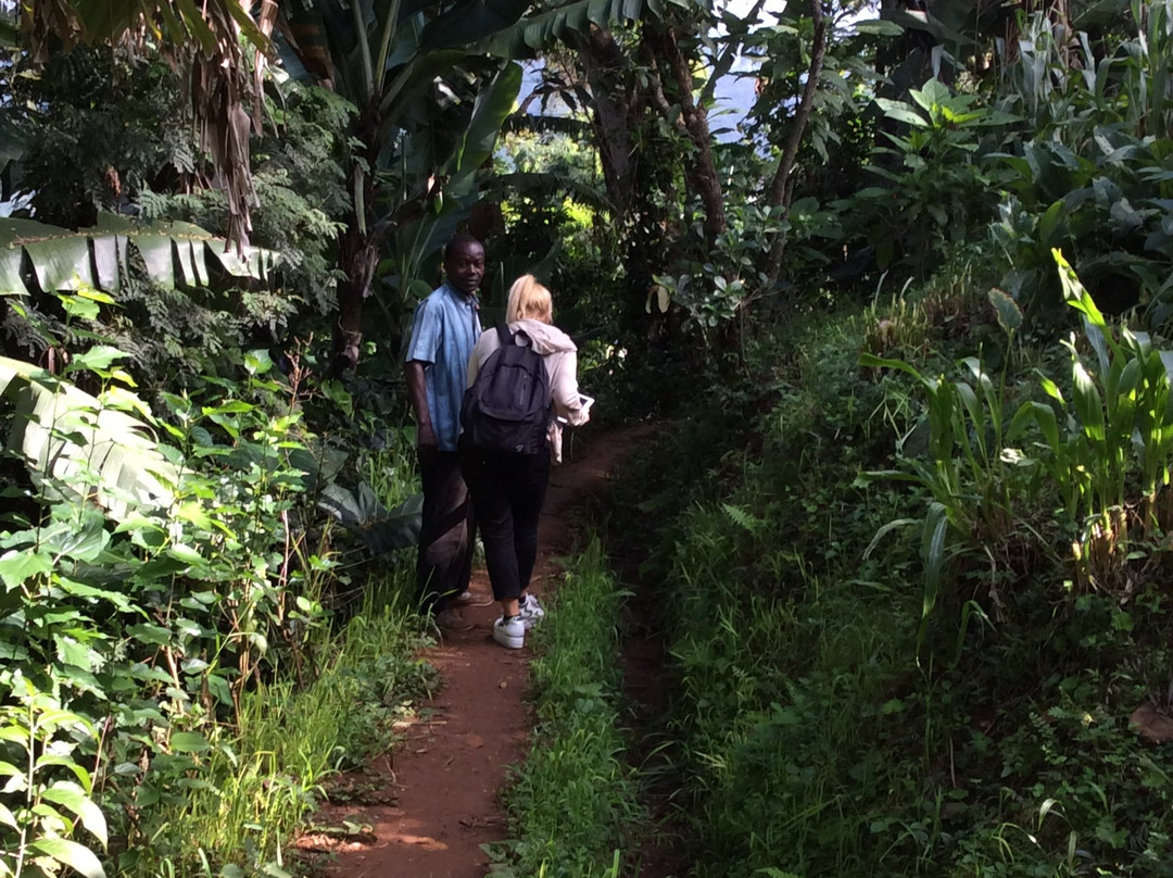 Materuni Waterfalls-Namro必去景点