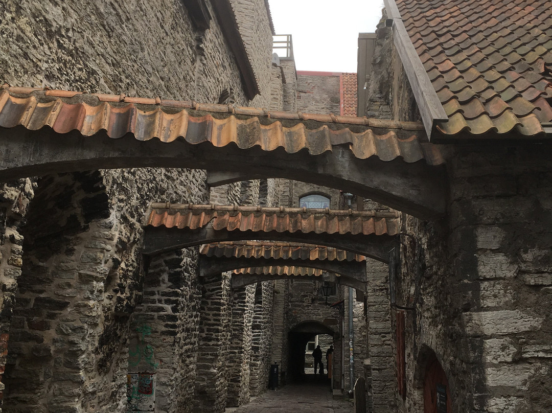 St. Catherine's Passage-塔林必去景点