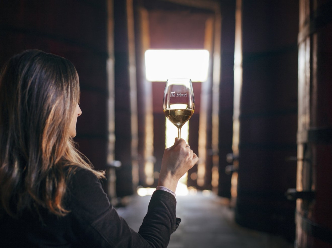 Vinicola De Mari-Monte Belo do Sul必去景点