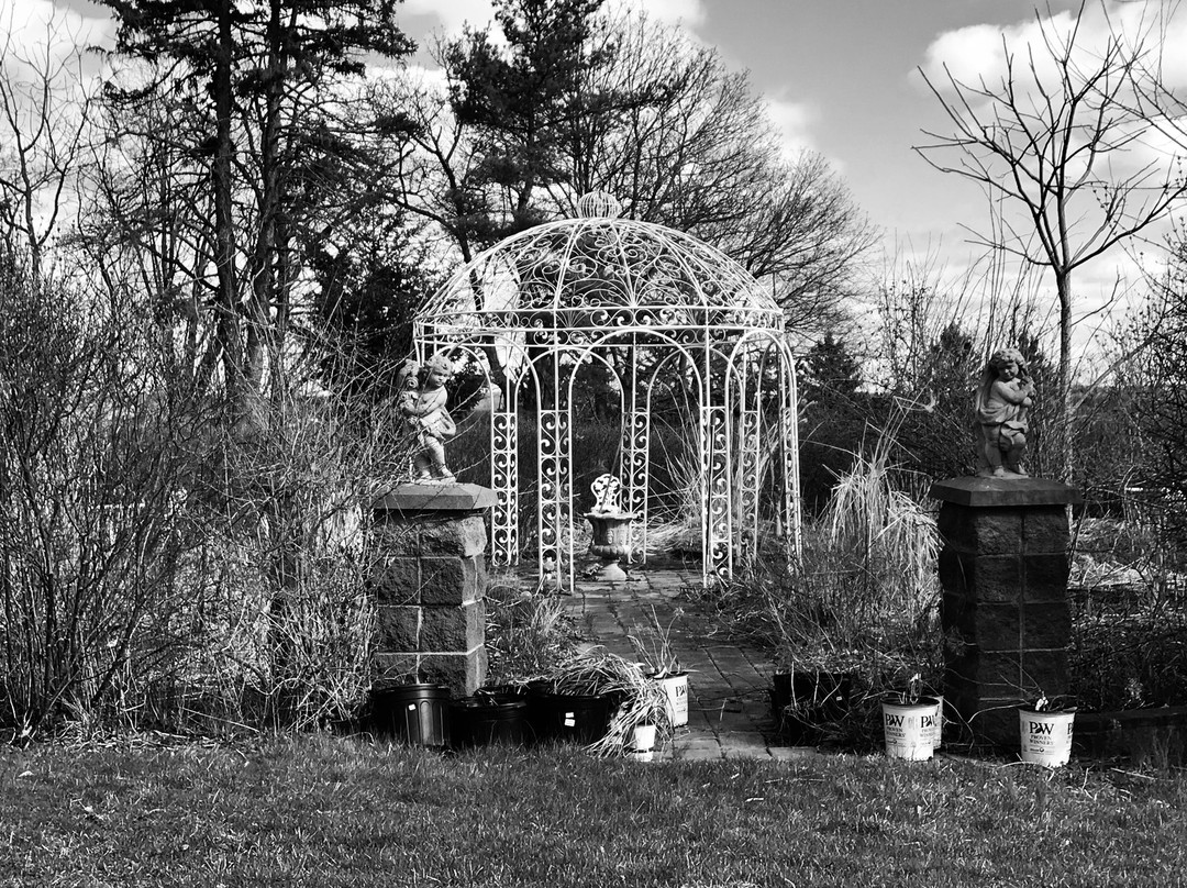 Cayuga Lake Front Inn主图