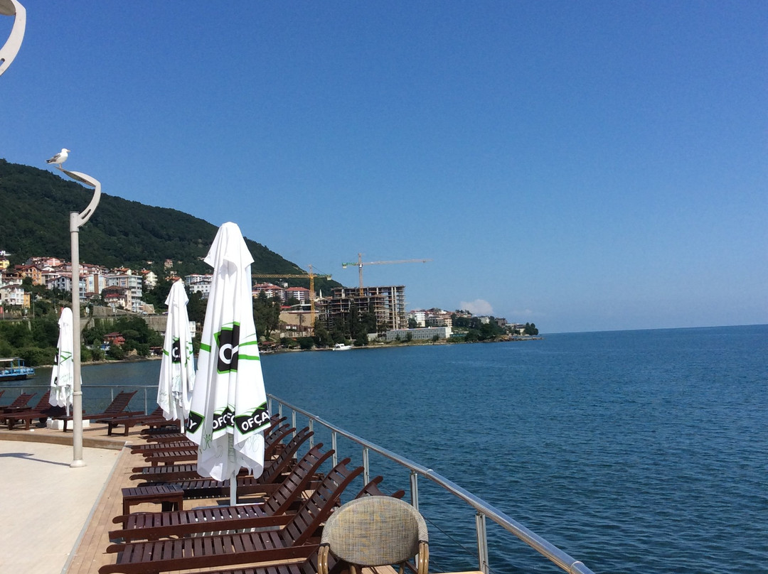 Anemon Kent Ordu Hotel主图