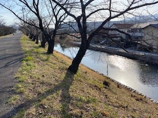 Sumiyoshi Embankment-廿日市市必去景点