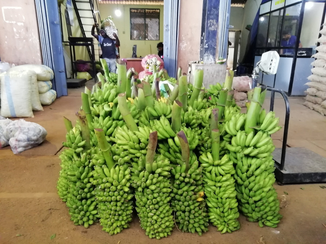 Dambulla Dedicated Economic Centre-丹布拉必去景点