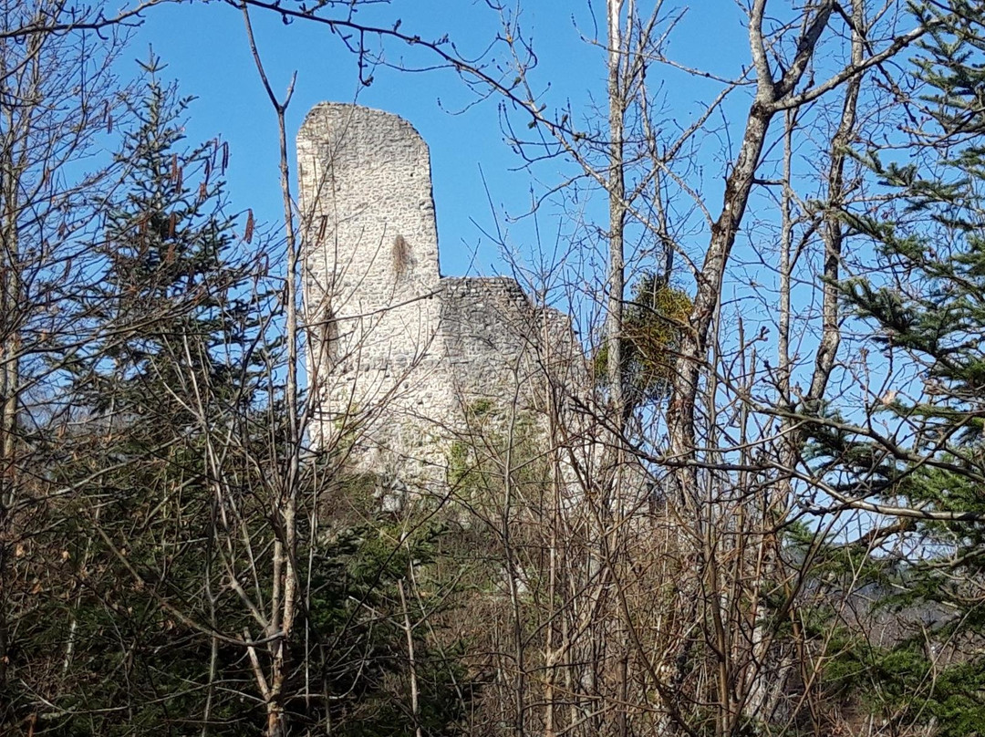 Chateau de Vorbourg景点图片