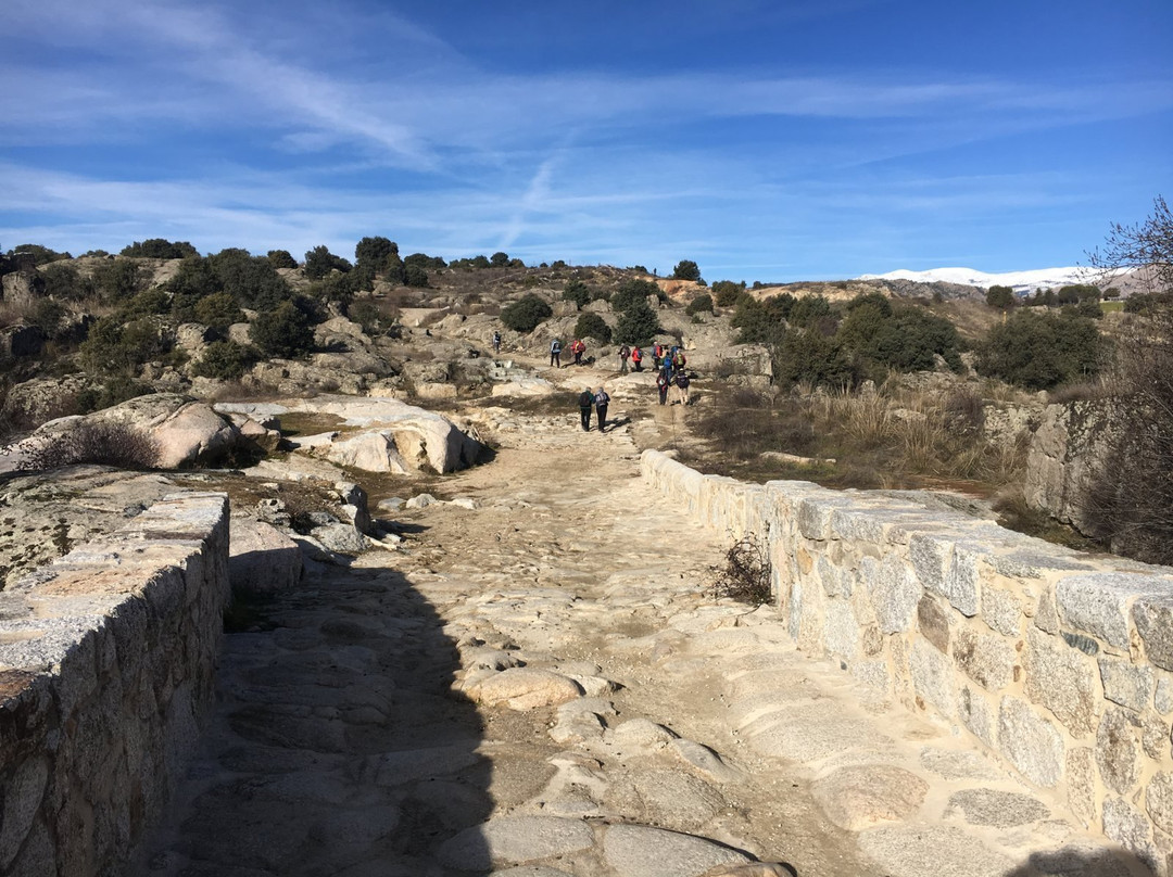 Parque Regional Cuenca Alta Del Manzanares景点图片