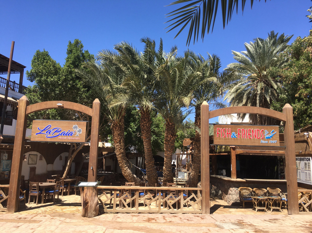 Fish & Friends Diving Centre-达哈卜必去景点