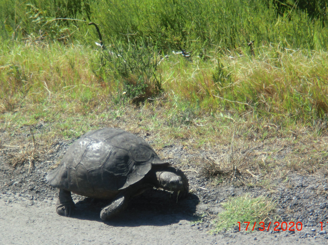 Cape Fun Tours-西门镇必去景点