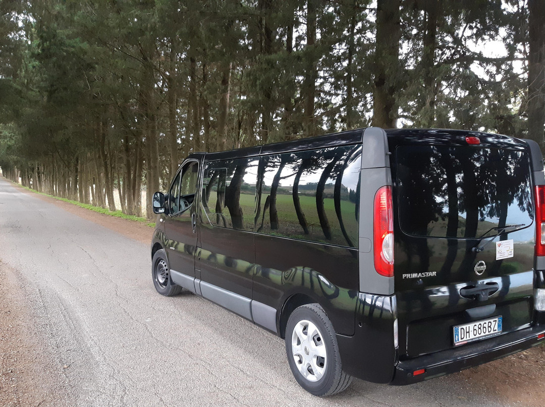 dream tour in sicily-卡塔尼亚必去景点