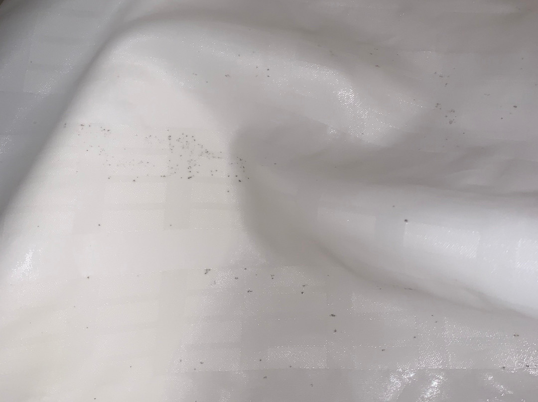 Island Inn & Suites, Ascend Hotel Collection主图