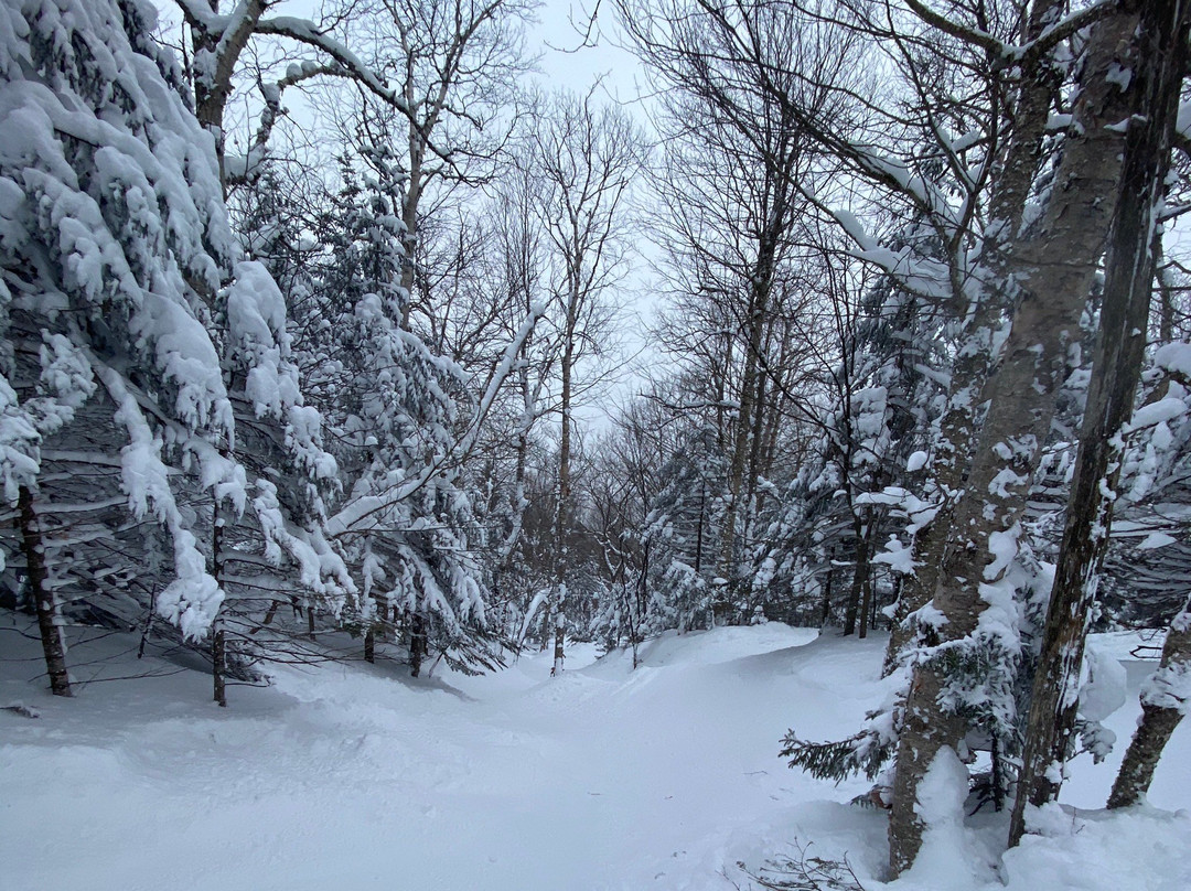 Jay Peak Ski Resort景点图片