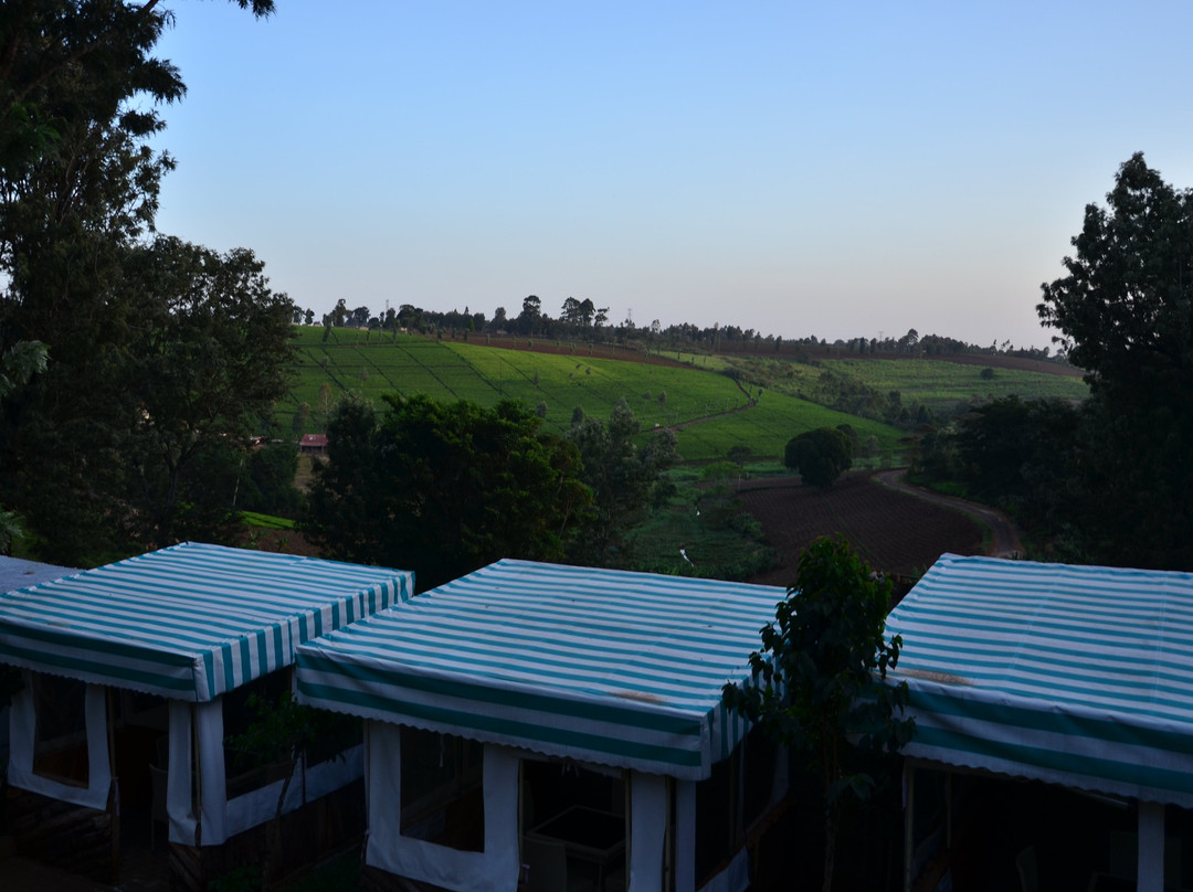 Hill House Hotel主图