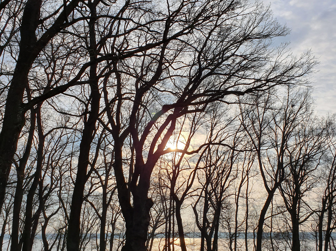 Palac Zegrzynski主图