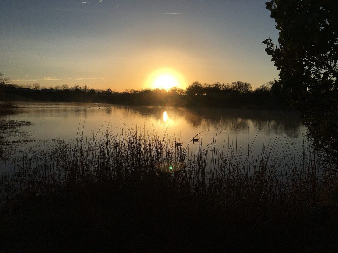 Cosumnes River Preserve-Galt必去景点