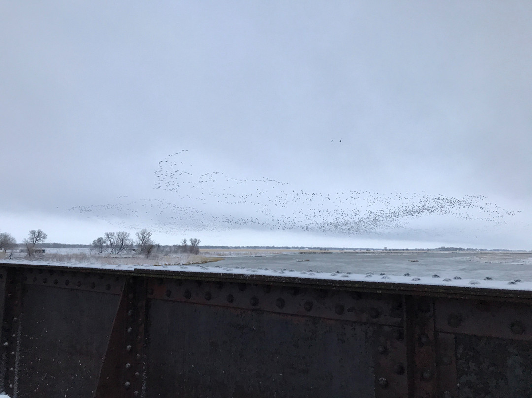 Hike-Bike Trail Bridge-卡尼必去景点