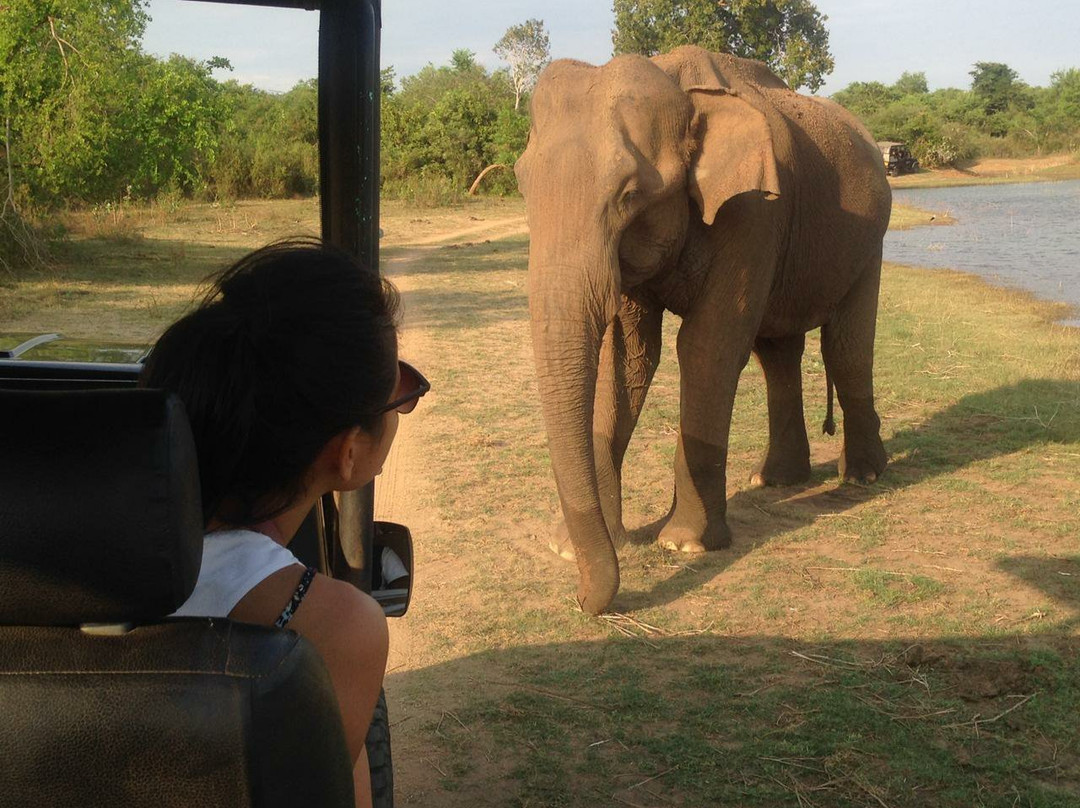 Lakpura LLC-乌达瓦拉瓦必去景点