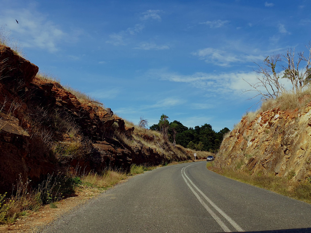 Myponga Reservoir Lookout景点图片