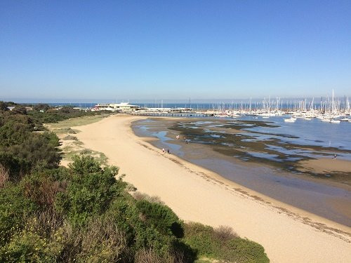 Sandringham Harbour Beach景点图片