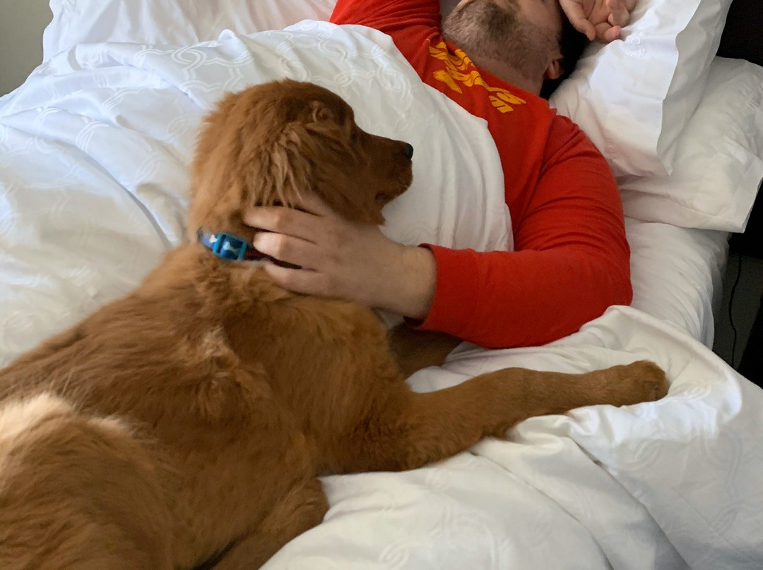 Staybridge Suites Mt. Juliet - Nashville Area主图