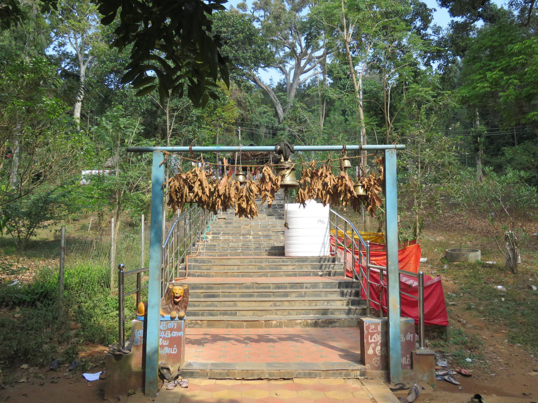 Ettukai Amman Temple景点图片