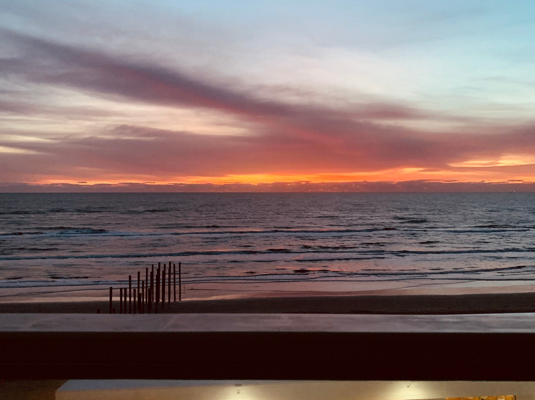 Courtyard by Marriott South Padre Island主图