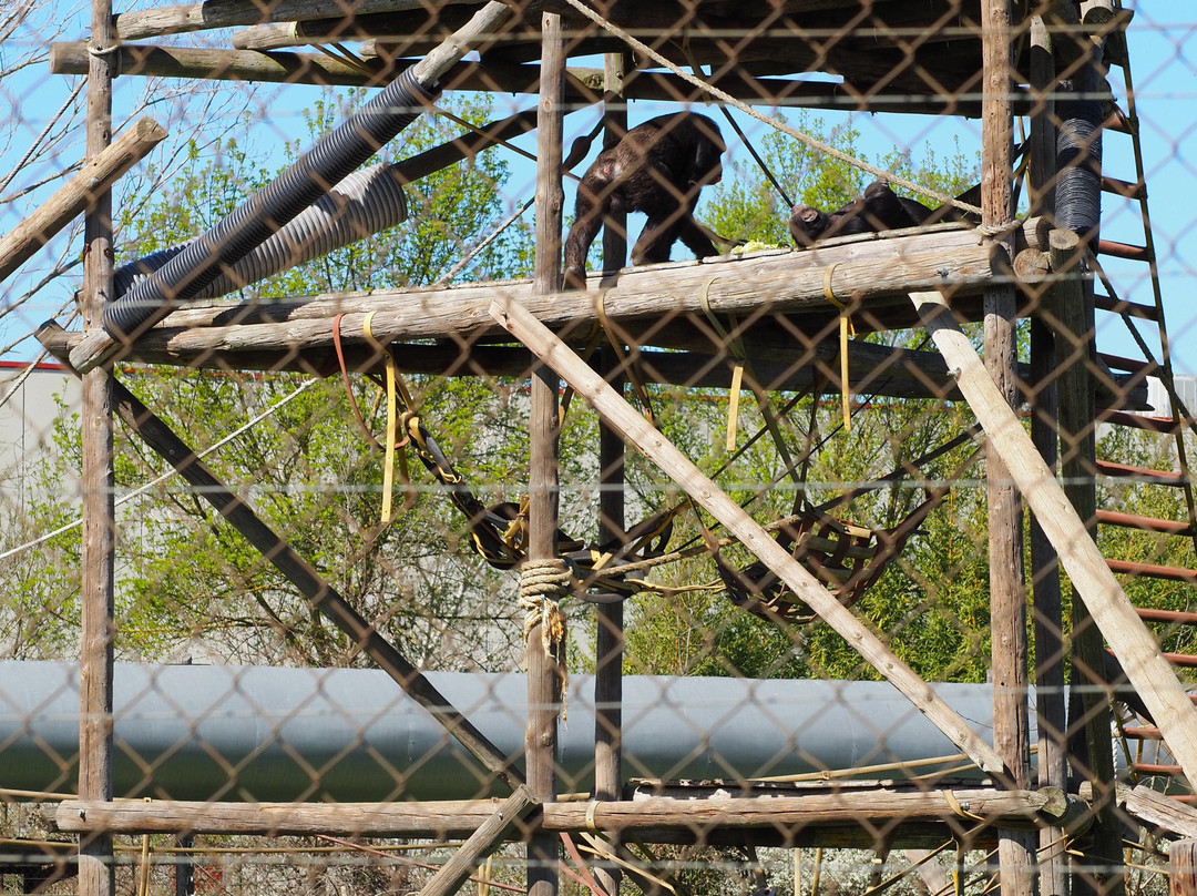 Fundació Mona, Centre de Recuperacio de Primats景点图片