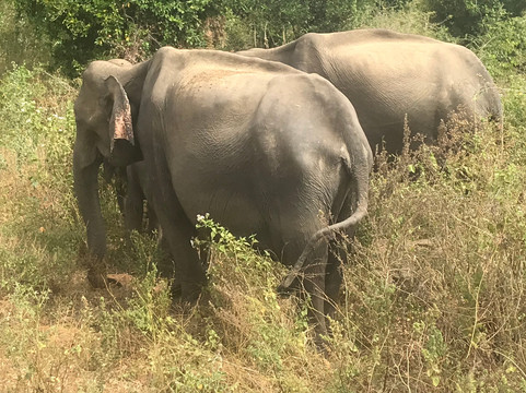 Aaronify Odyssey-奴娃拉伊利雅必去景点