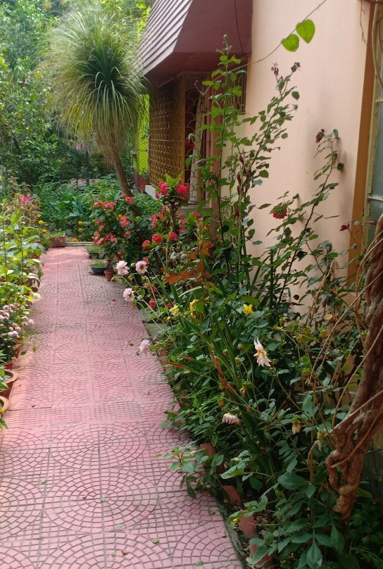 Pubali Homestay主图