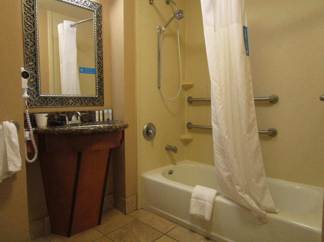 维斯塔司埃拉希尔顿恒庭酒店主图