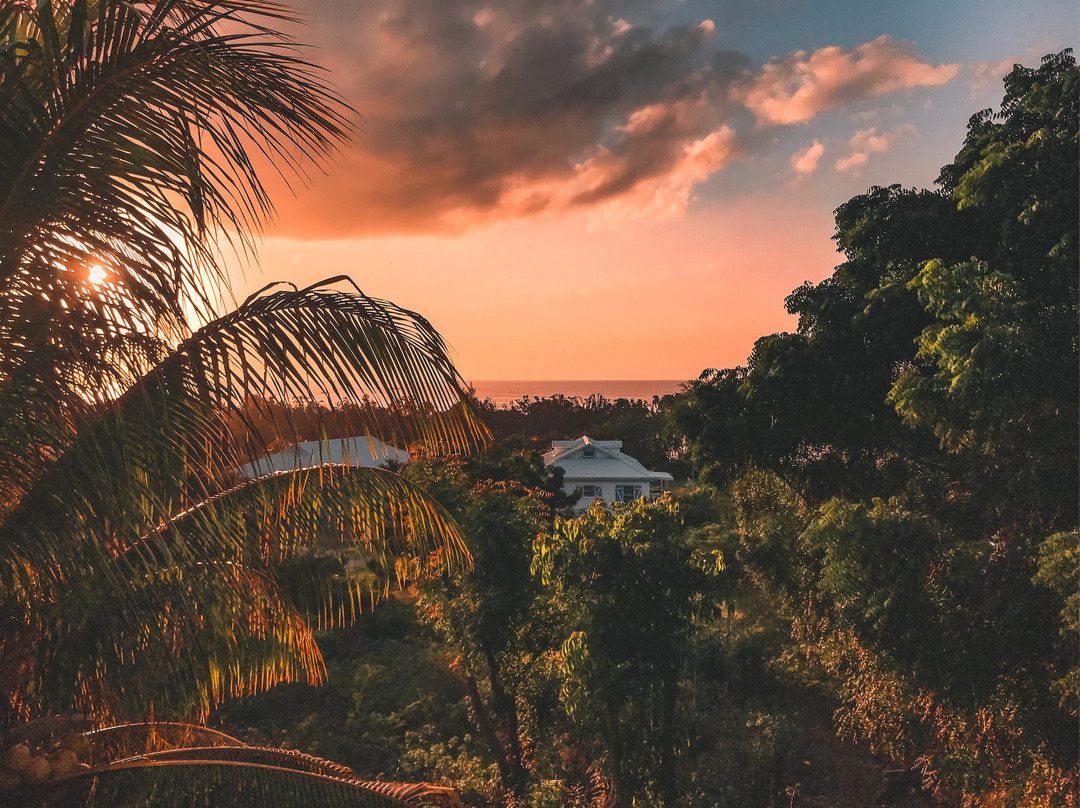 Five Senses Antigua主图