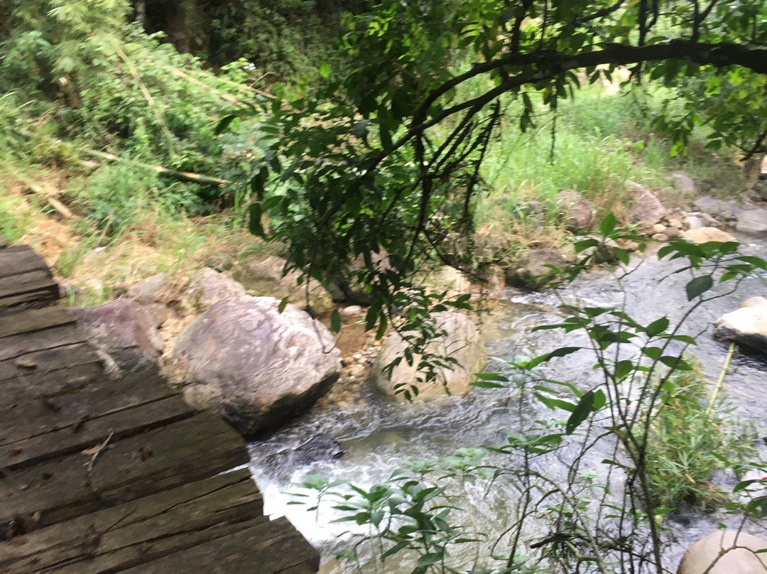 Cachoeira das Andorinhas-Silva Jardim必去景点