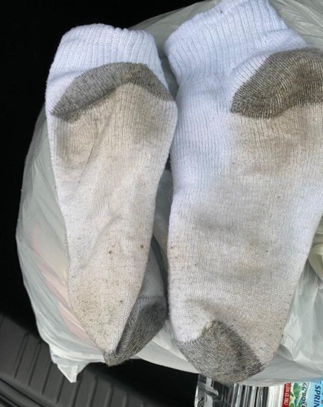 Best Western Starke主图