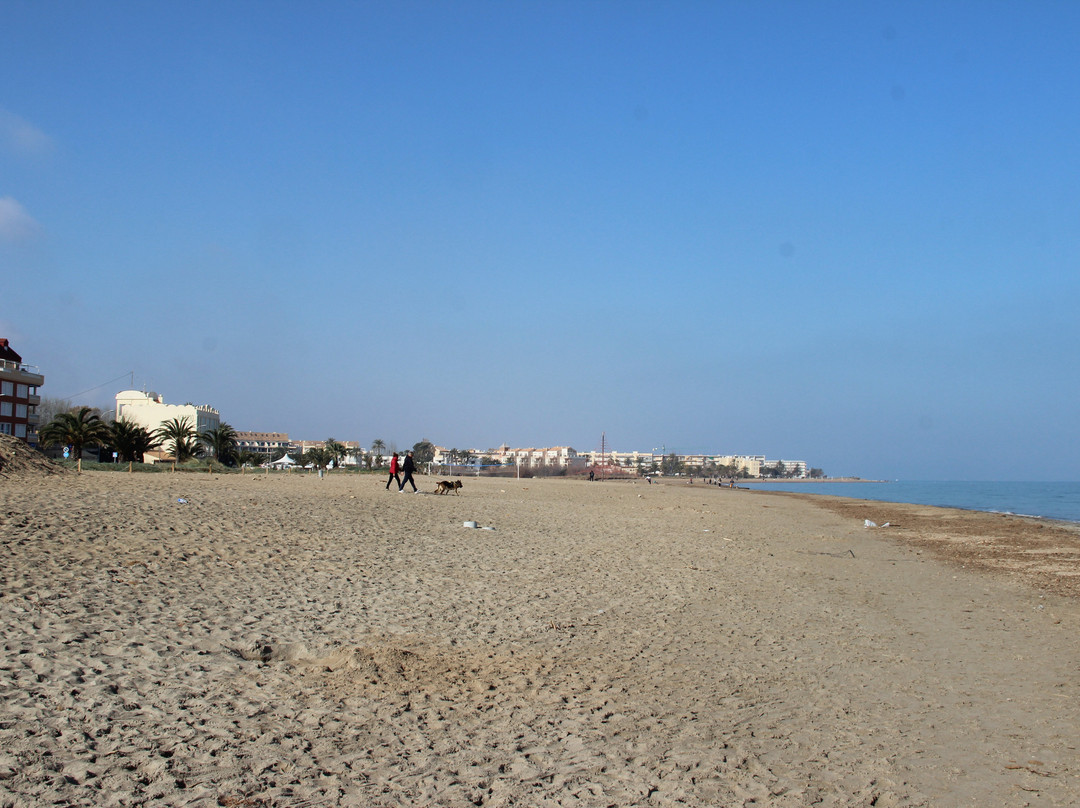 Platja Punta del Raset景点图片