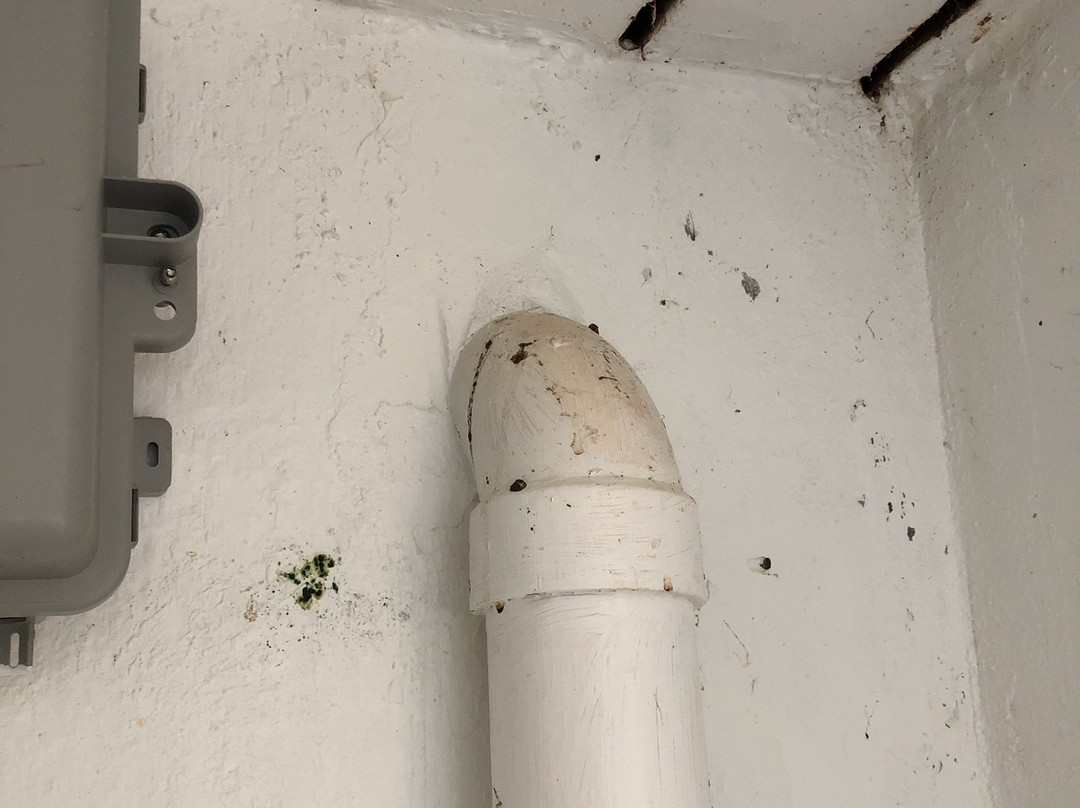 Long Bay Beach-普罗维登西亚莱斯必去景点