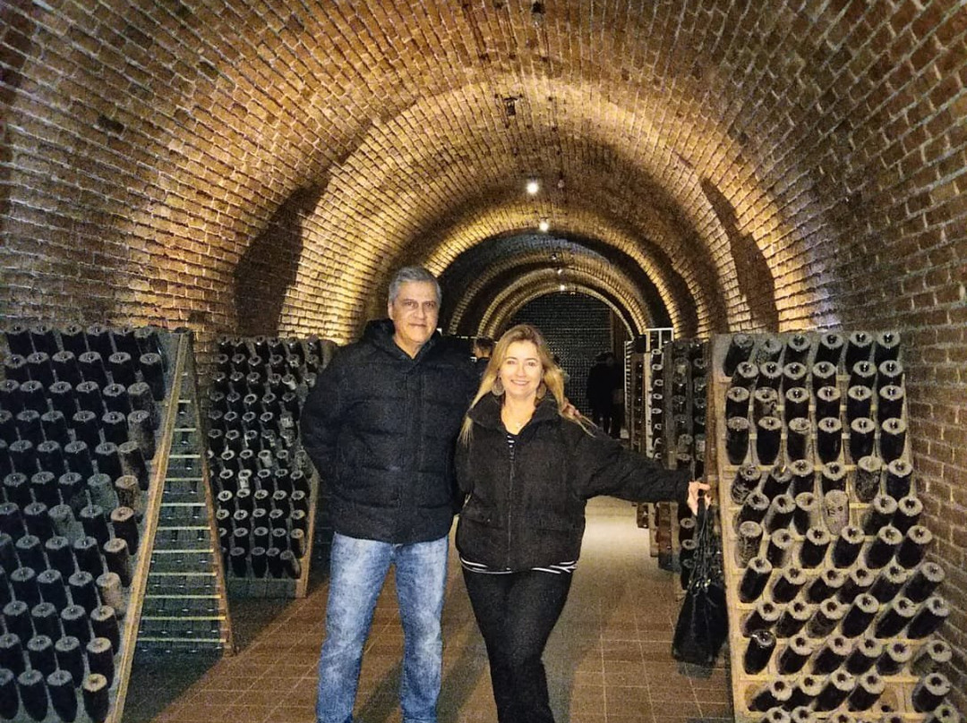 VITIS TRAVEL-门多萨必去景点