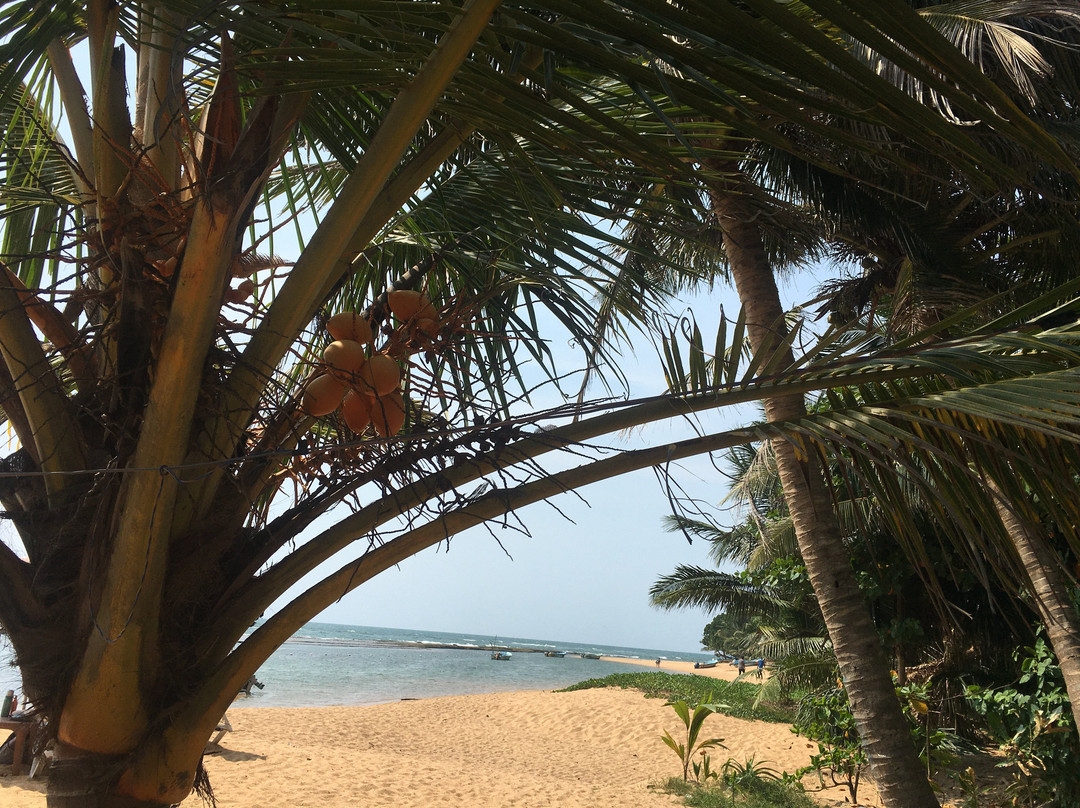 Sky Ferns Tours-加勒必去景点