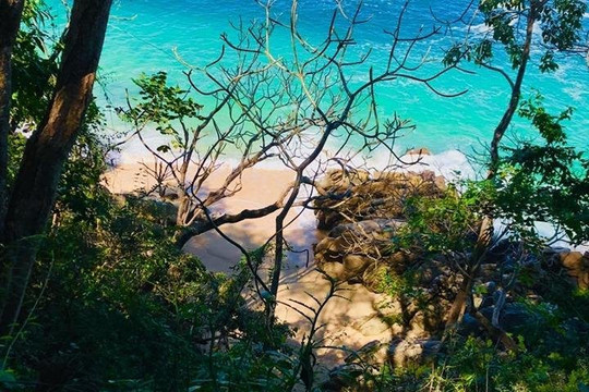 Pata Salada Tours-瓦拉塔港必去景点