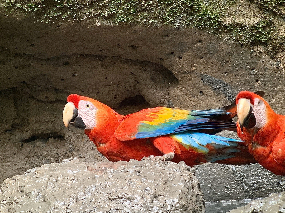 Sabina Tour-明多必去景点