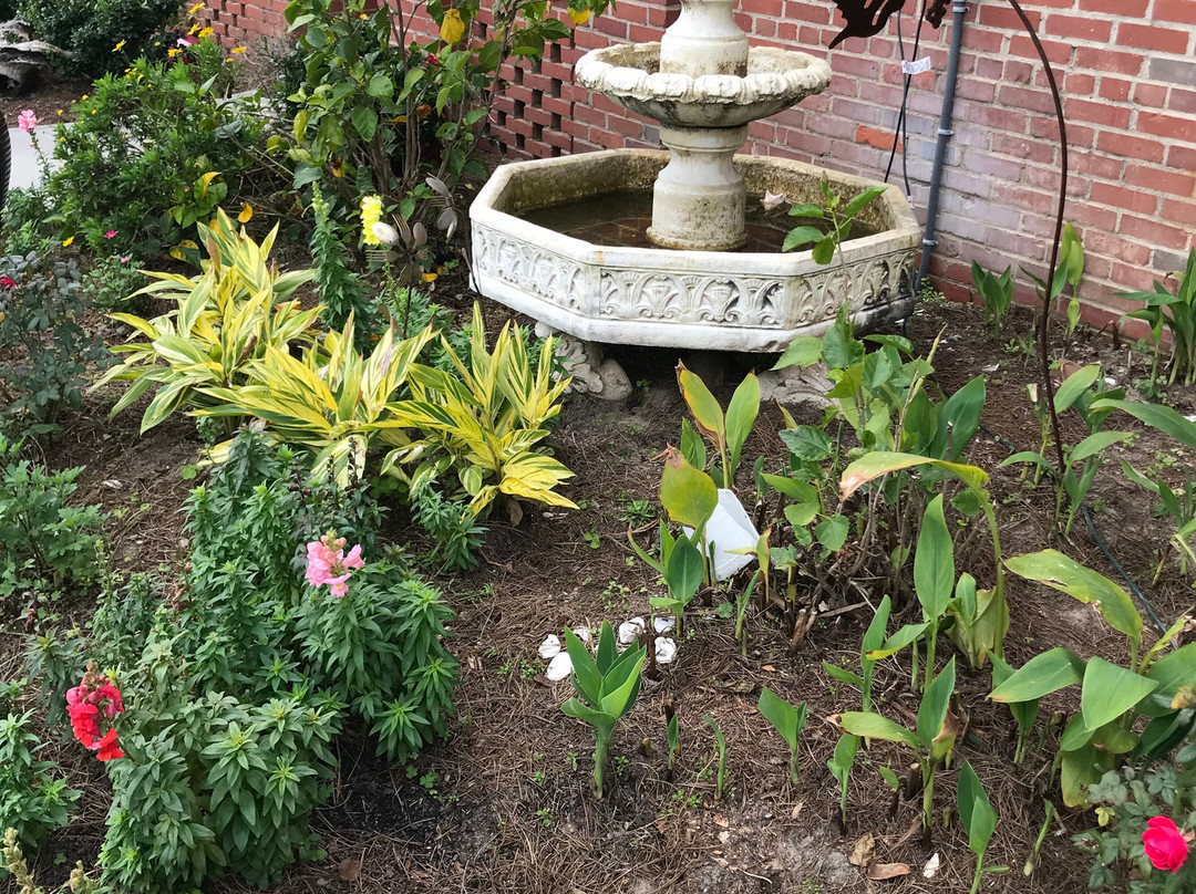 Beachview Inn And Spa主图