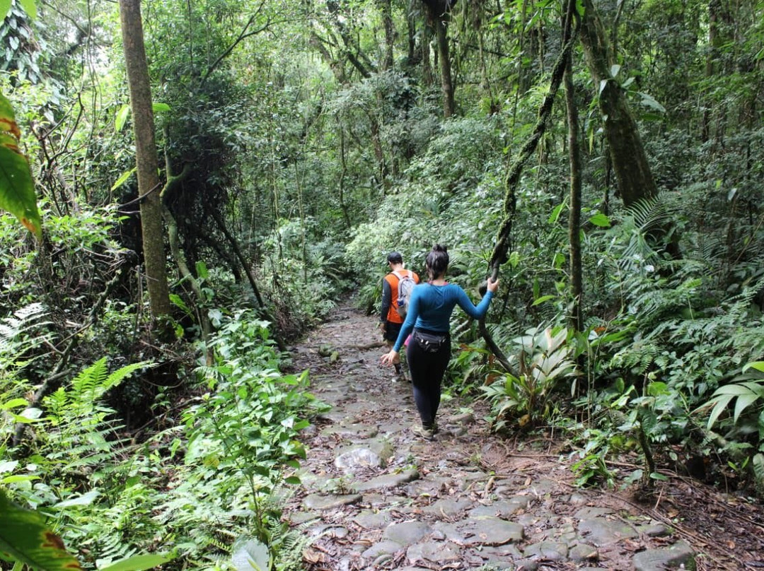 Caminho do Itupava景点图片
