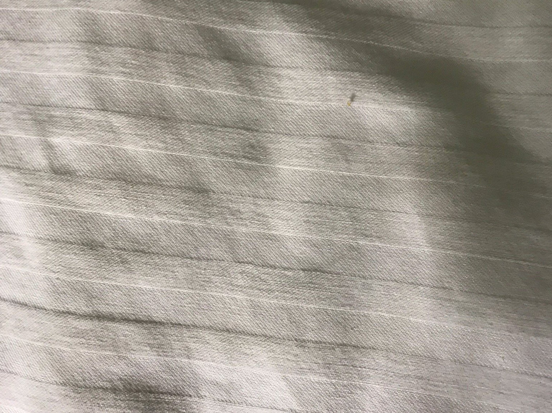 Best Western Plus Carrizo Springs Inn & Suites主图