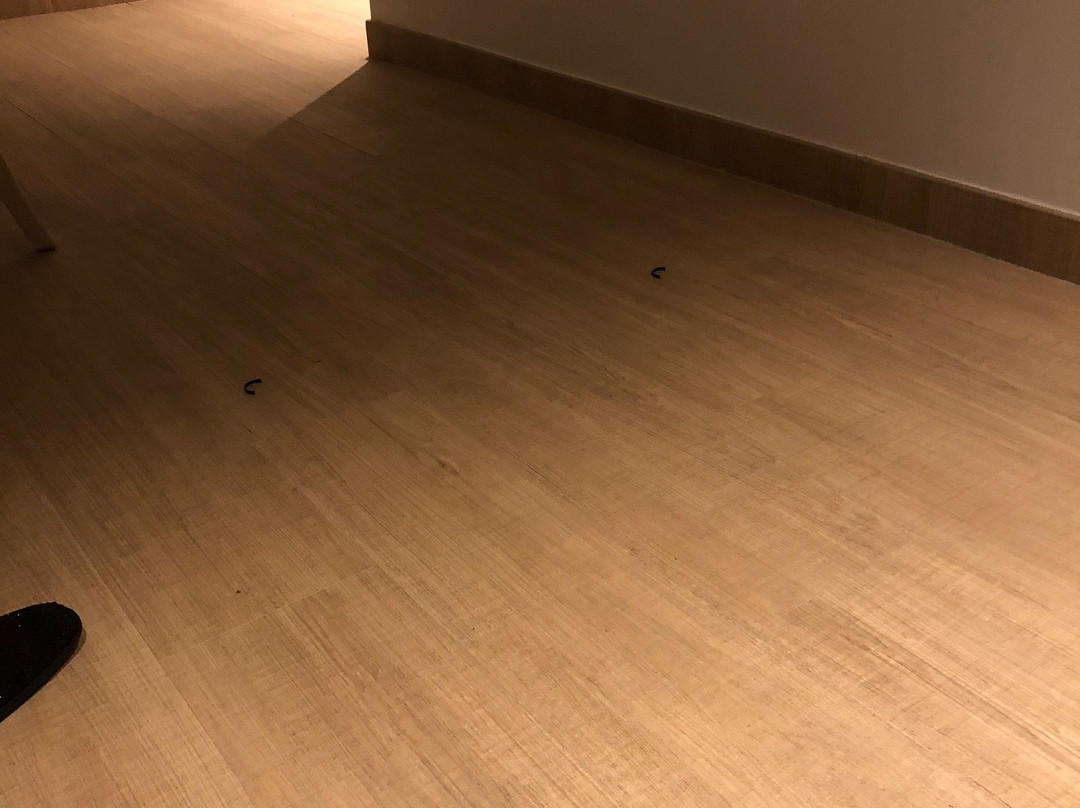 坦德姆苏荷公寓主图