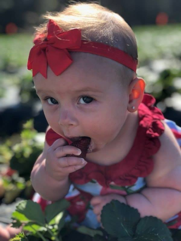 Dorr Farms-Gable必去景点